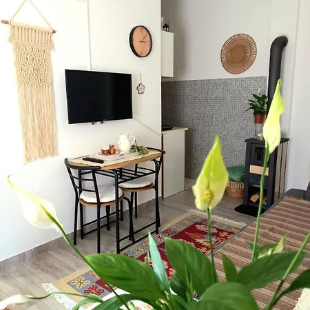 Ceif House Apartment