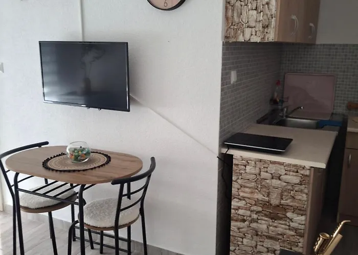 Ceif House Apartament *